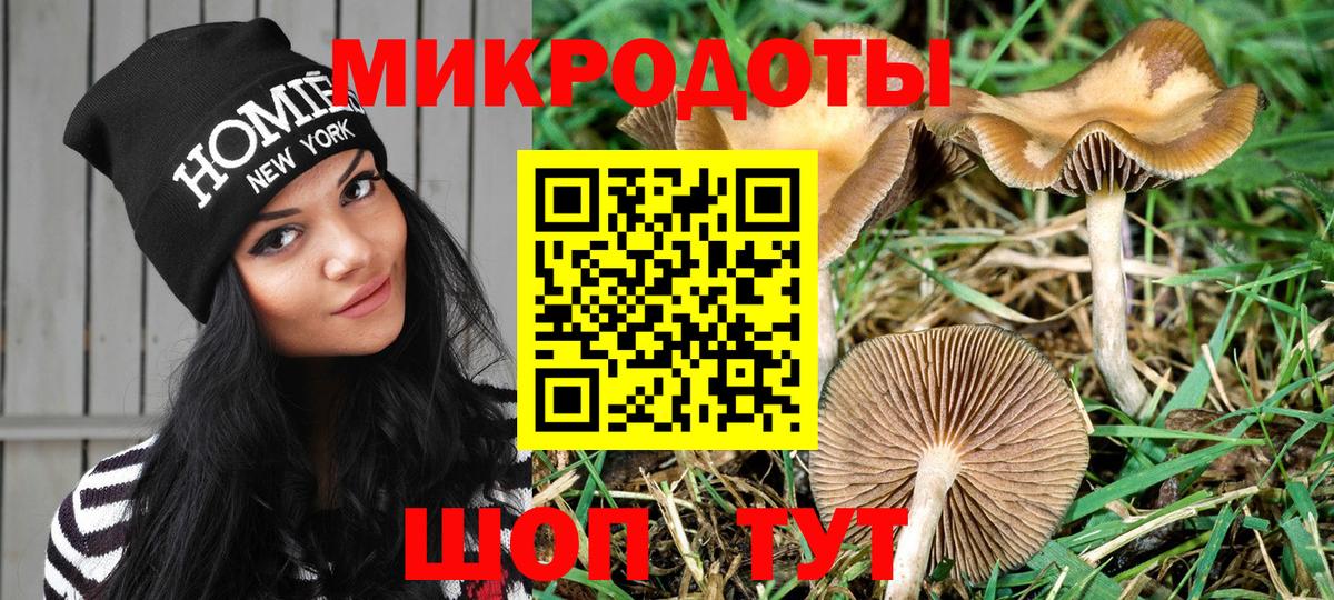 Псилоцибиновые грибы прущие грибы Уварово