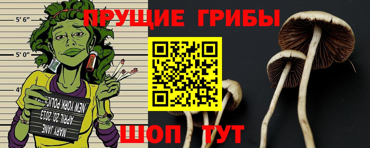 Уварово  Галлюциногенные грибы Cubensis  Вход с VPN 
